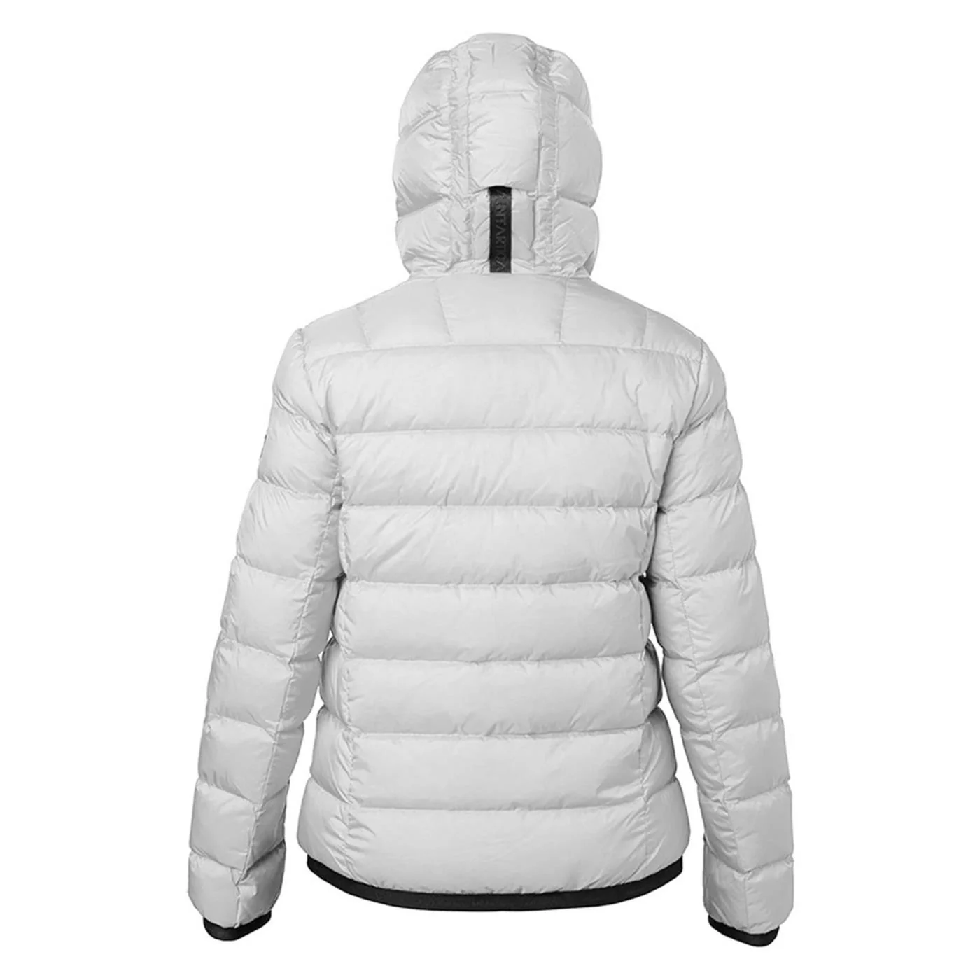 ANTARTICA HOPE - Image 2