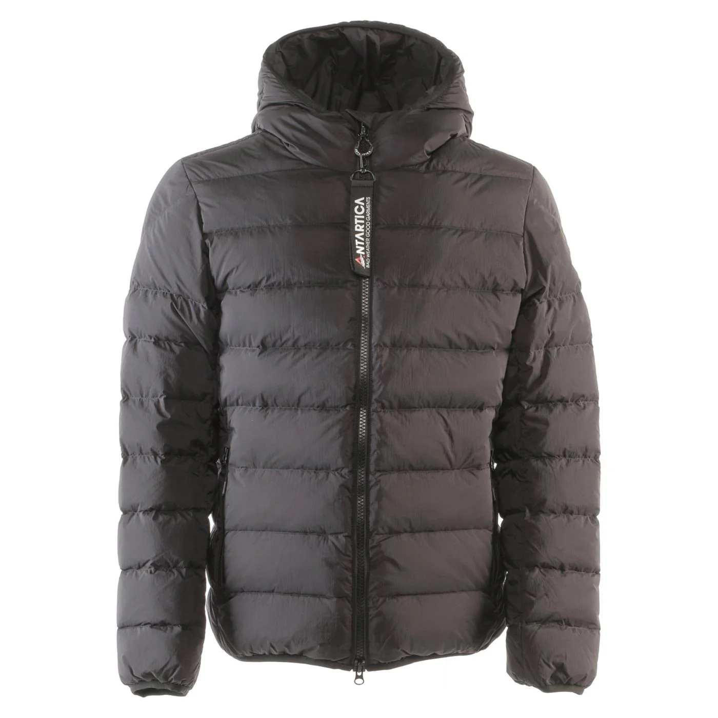 ANTARTICA TARO