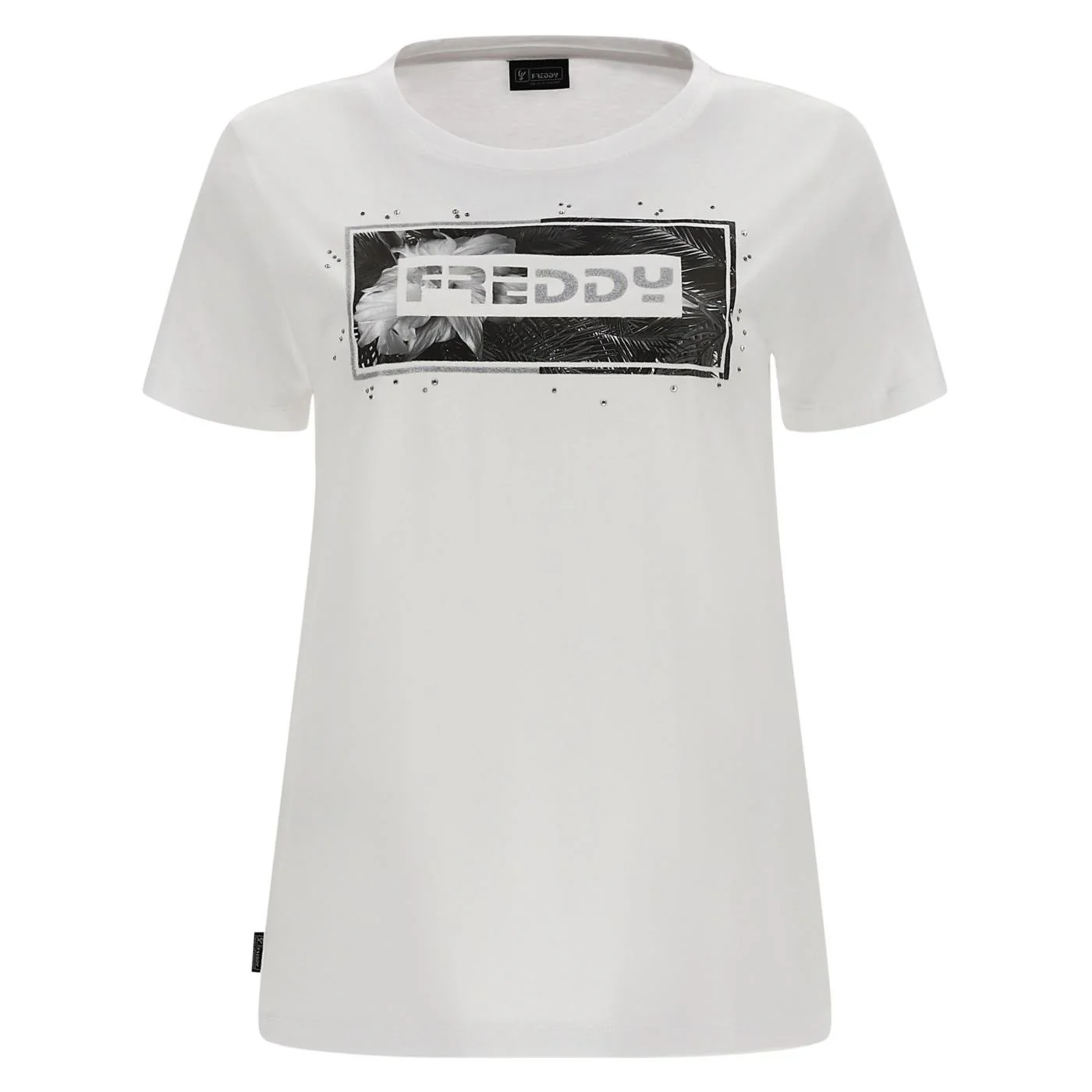 FREDDY MAGLIA MANICA CORTA