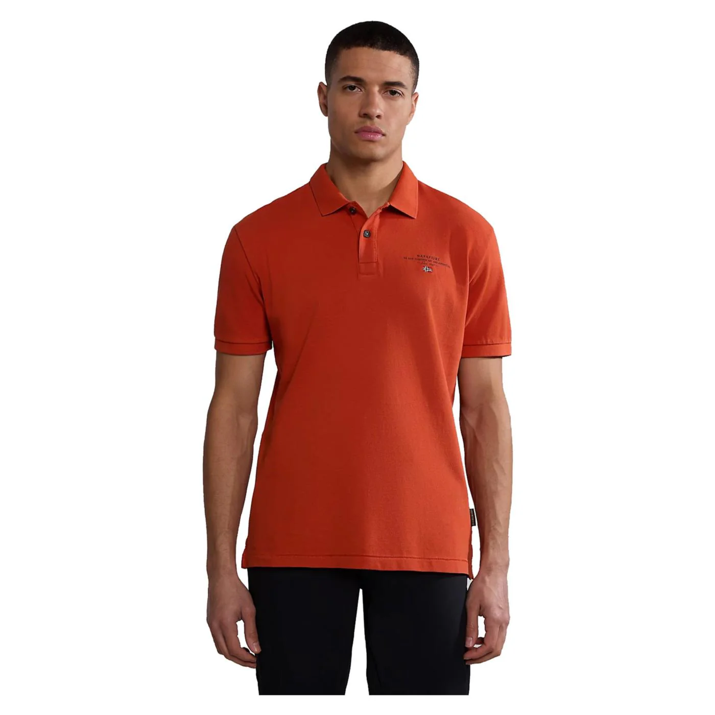NAPAPIJRI ELBAS SHORT SLEEVE POLO - Image 3