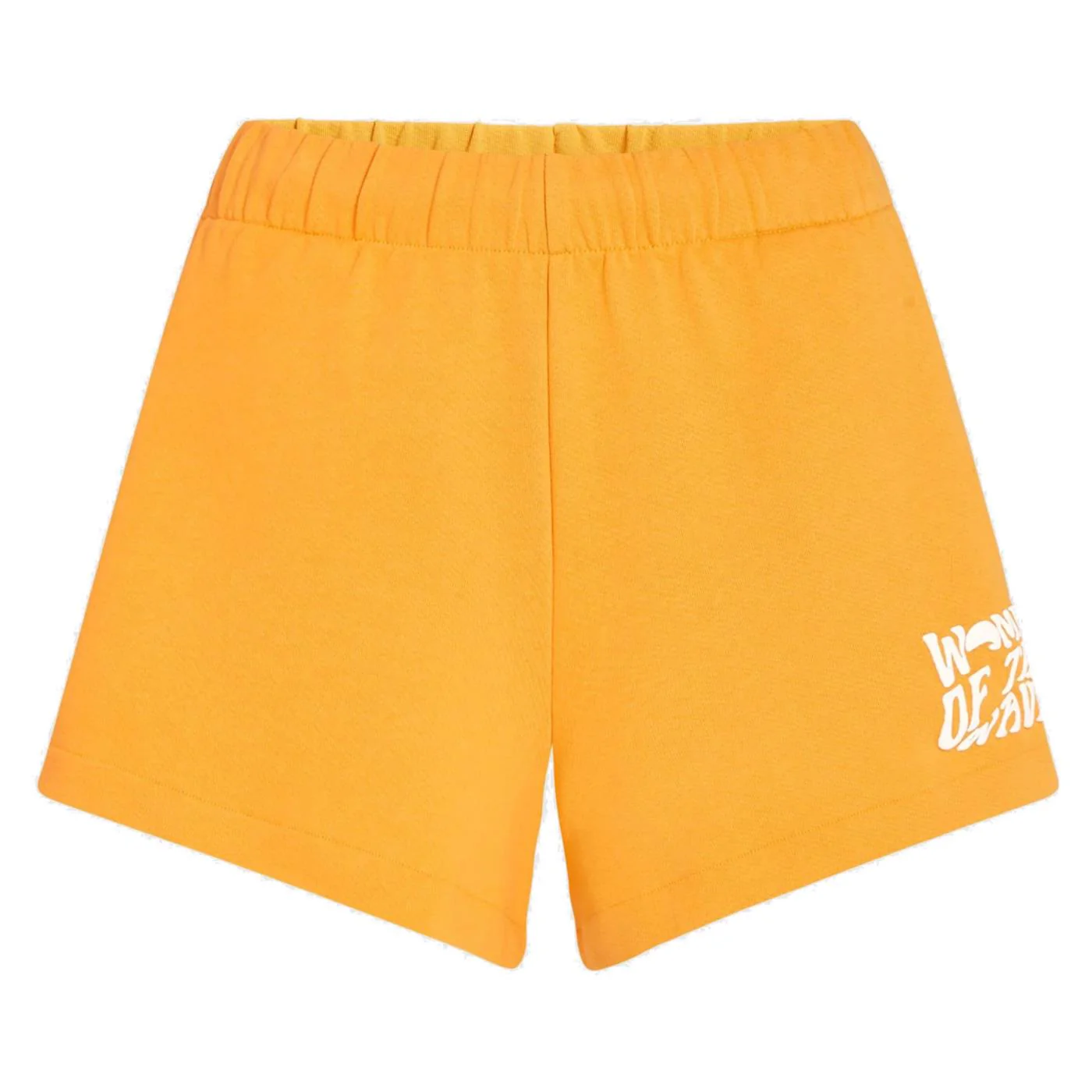 O'NEILL WOMEN OF THE WAVE SHORTS