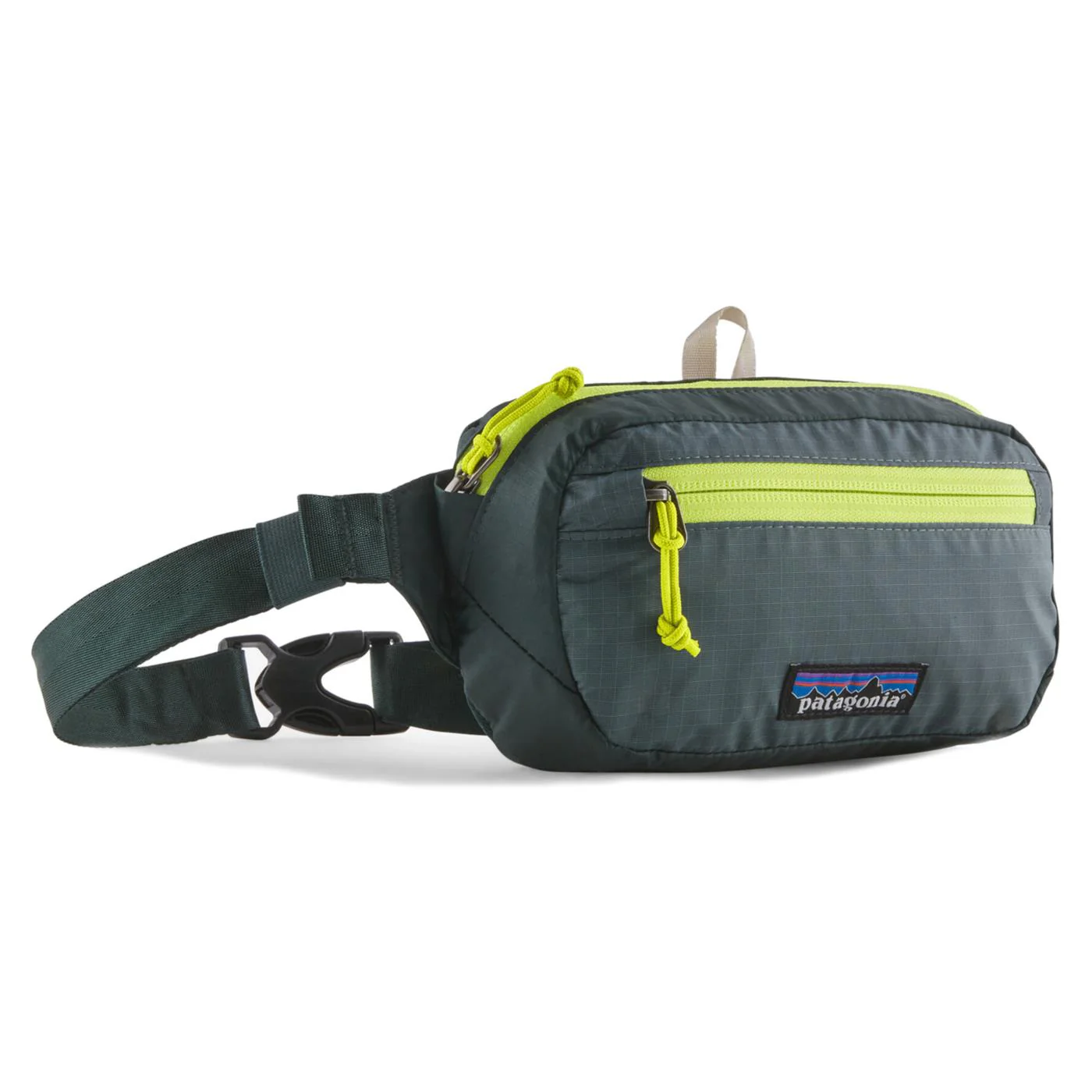 PATAGONIA BLACK HOLE MINI HIP PACK