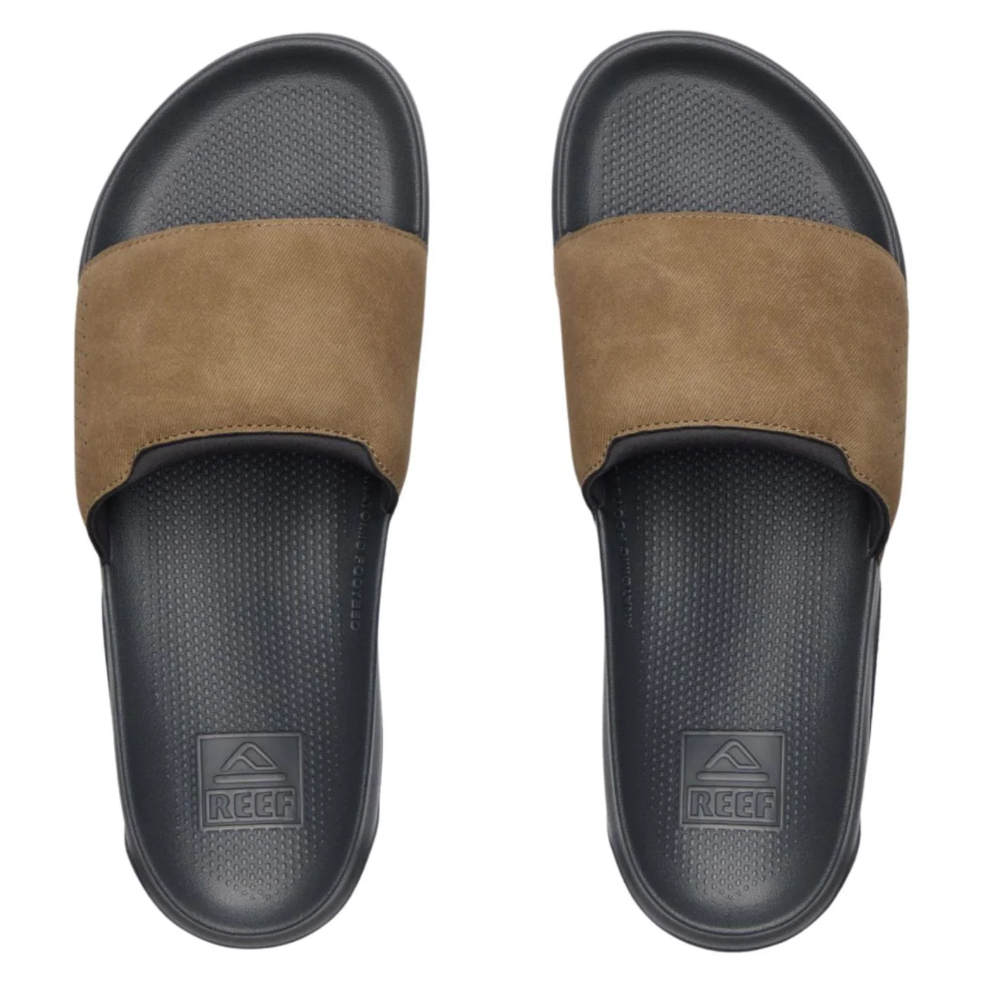 REEF TAILSLIDE - Image 2
